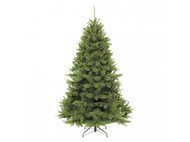 Triumph Tree  , 185 , 
