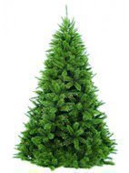 Triumph Tree  , 155 , -