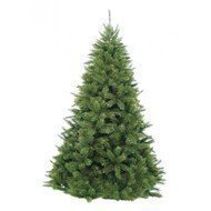 Triumph Tree  , 185 , -