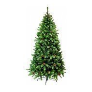 Triumph Tree    , 155 , 