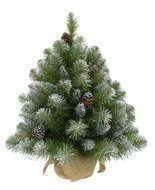 Triumph Tree    , 90 ,  , 