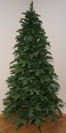 Triumph Tree  -, 120 , 