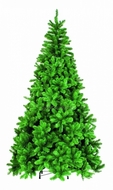 Triumph Tree  -, 185 , 