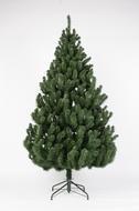 Triumph Tree  , 125 , 