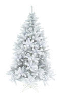 Triumph Tree  , 155 , 