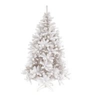 Triumph Tree  , 185 , 