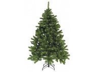 Triumph Tree  , 155 , 