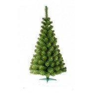 Triumph Tree  , 45 , 