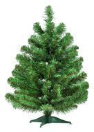 Triumph Tree  , 60 , 