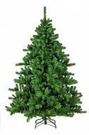 Triumph Tree  , 120 , 