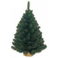 Triumph Tree  , 90 ,  , 