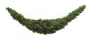 Triumph Tree   , 18036 , 