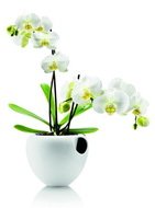 Eva Solo    Orchid pot, , 18.2x18.5x14.5 