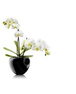 Eva Solo    Orchid pot, , 18.2x18.5x14.5 