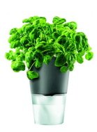 Eva Solo    Herb pot, -, 11x17.5 