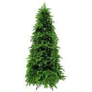 Triumph Tree   , 230 , 