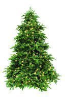 Triumph Tree  , 230 , 496 , -
