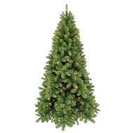 Triumph Tree  , 260 , 688 , 