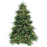 Triumph Tree  , 305 , 1144 , 