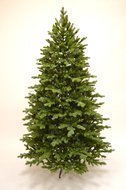Triumph Tree   , 305 , 