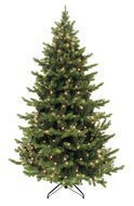 Triumph Tree   , 215 , 288 , 
