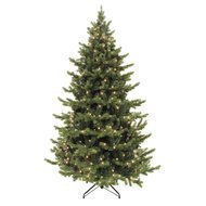 Triumph Tree   , 260 , 440 , 