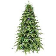 Triumph Tree   , 365 , 1224 , 