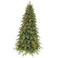 Triumph Tree   , 425 , 1840 , 