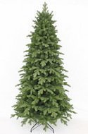 Triumph Tree    , 230 , 