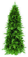 Triumph Tree    , 260 , 