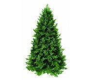Triumph Tree  , 230 , 