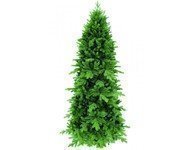 Triumph Tree  , 230 , 