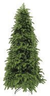Triumph Tree  , 305 , 