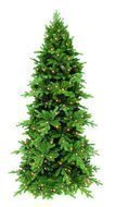 Triumph Tree  , 215 , 216 , 