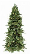 Triumph Tree  , 305 , 432 , 