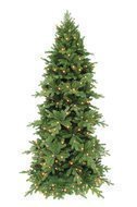 Triumph Tree  , 425 , 864 , 