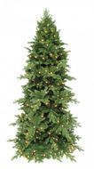 Triumph Tree  , 600 , 2072 , 