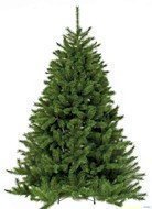 Triumph Tree   , 500 , 