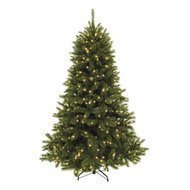 Triumph Tree   , 260 , 480 , 