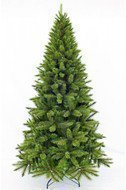 Triumph Tree    , 260 , 
