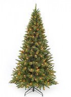 Triumph Tree    , 120 , 88 , 