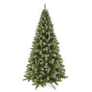 Triumph Tree  , 185 , 