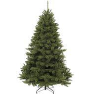 Triumph Tree  , 260 , 