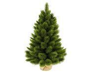 Triumph Tree   , 90 ,  , 