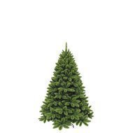 Triumph Tree   , 120 , 