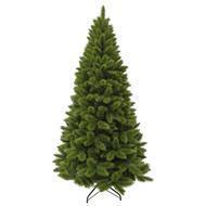 Triumph Tree    , 185 , 