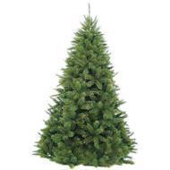 Triumph Tree  , 215 , -