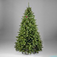 Triumph Tree  , 230 , -