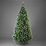 Triumph Tree    , 425 , 
