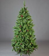 Triumph Tree    , 230 , 
